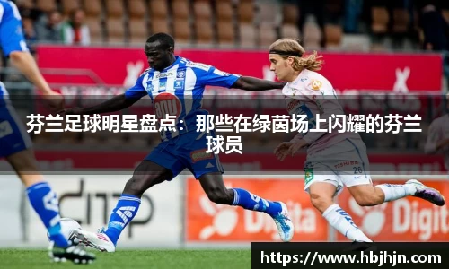 芬兰足球明星盘点：那些在绿茵场上闪耀的芬兰球员